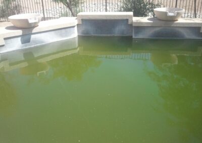 Green Pool Cleanup Before Image