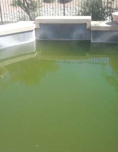 Green Pool Cleanup Before Image